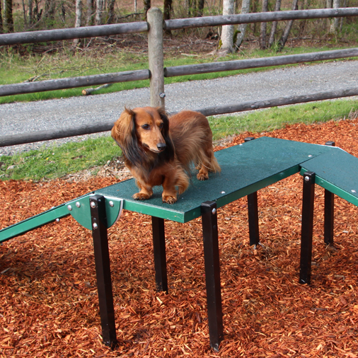 Dachshund Double Ramp