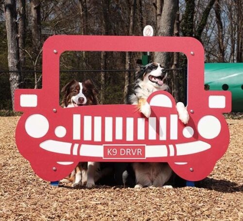 Joy Ride Photo Booth Panel